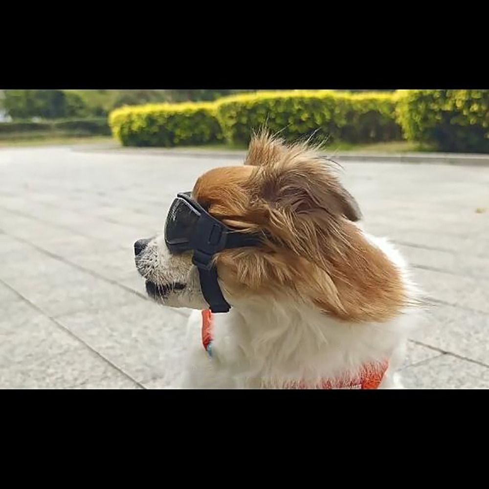 Silicon+PC+Nylon Pet Goggles A - Windsor Knot Tie reseña y precio